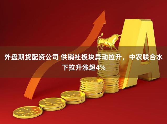 外盘期货配资公司 供销社板块异动拉升，中农联合水下拉升涨超4%