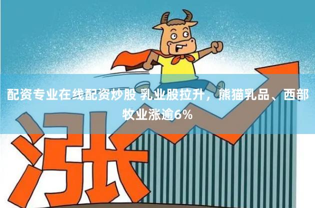 配资专业在线配资炒股 乳业股拉升，熊猫乳品、西部牧业涨逾6%