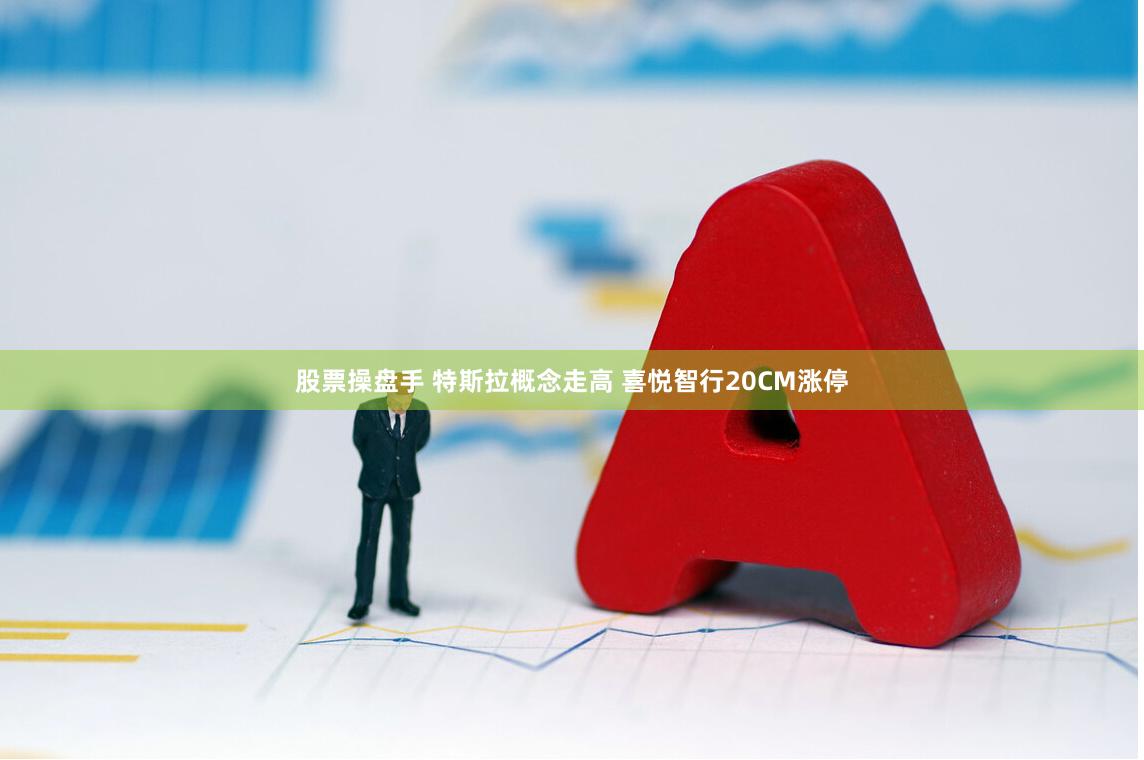 股票操盘手 特斯拉概念走高 喜悦智行20CM涨停