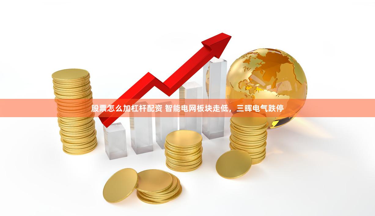 股票怎么加杠杆配资 智能电网板块走低，三晖电气跌停