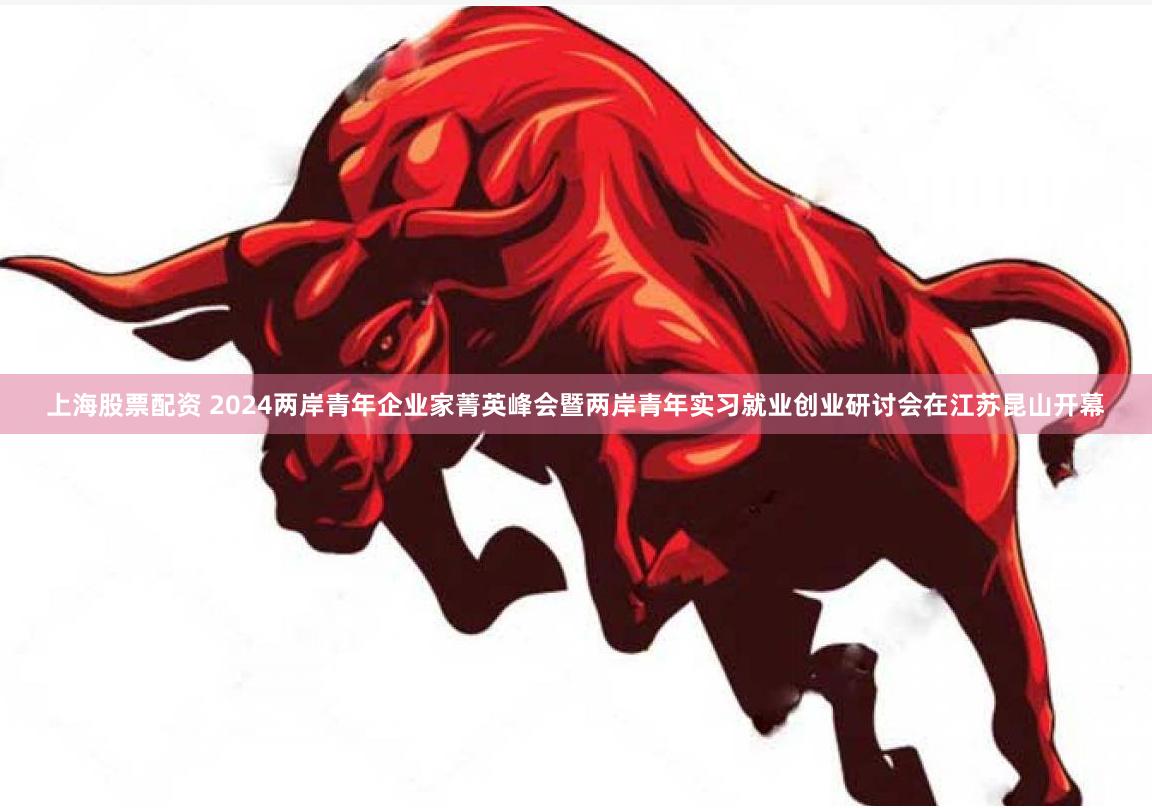 上海股票配资 2024两岸青年企业家菁英峰会暨两岸青年实习就业创业研讨会在江苏昆山开幕