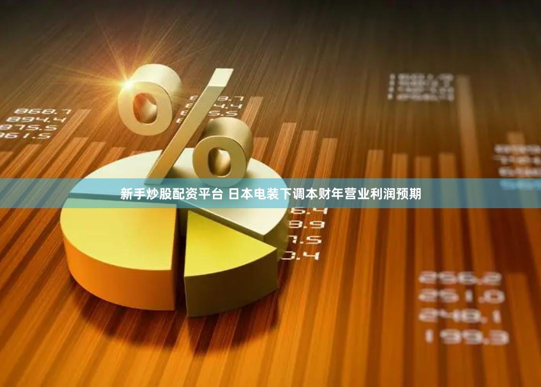 新手炒股配资平台 日本电装下调本财年营业利润预期