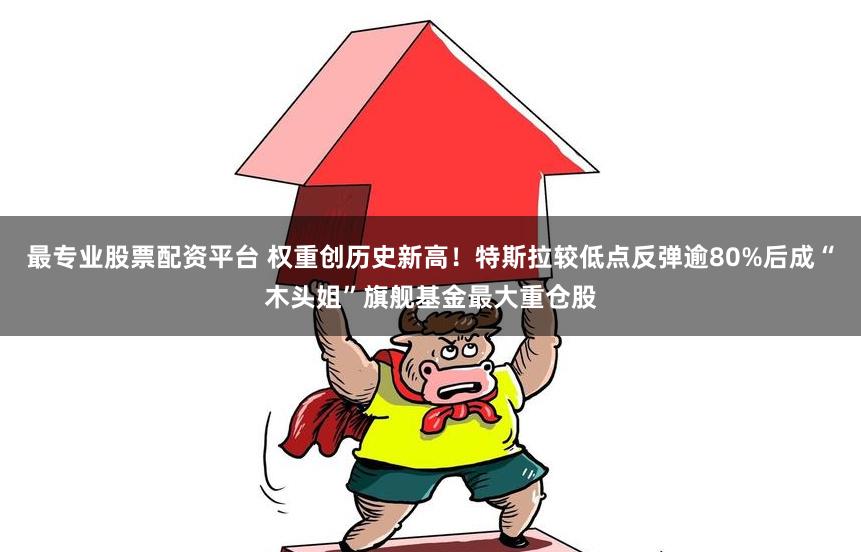 最专业股票配资平台 权重创历史新高！特斯拉较低点反弹逾80%后成“木头姐”旗舰基金最大重仓股