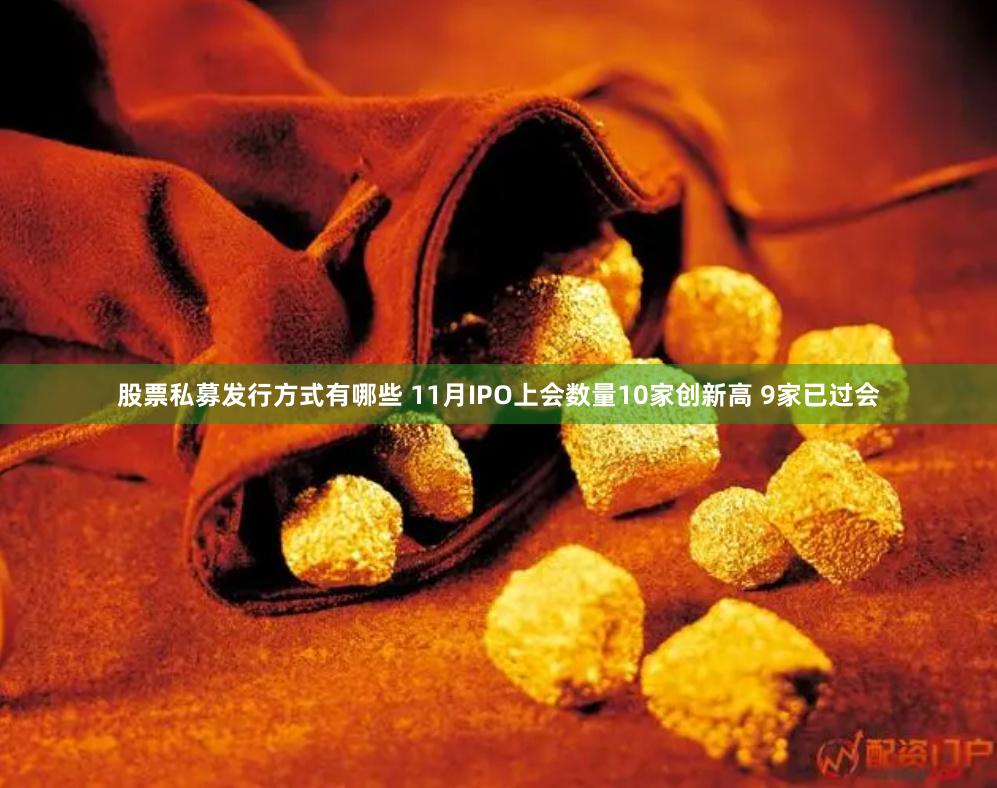 股票私募发行方式有哪些 11月IPO上会数量10家创新高 9家已过会