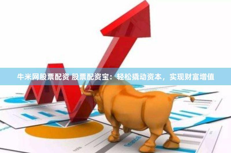 牛米网股票配资 股票配资宝：轻松撬动资本，实现财富增值