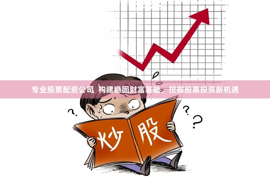 专业股票配资公司  构建稳固财富基础，挖掘股票投资新机遇