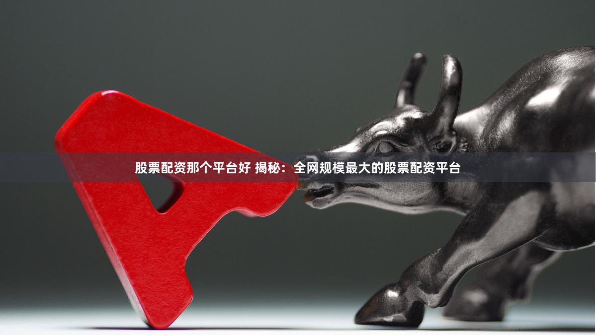 股票配资那个平台好 揭秘：全网规模最大的股票配资平台